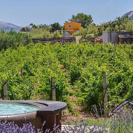 House Silvijo * Kolan