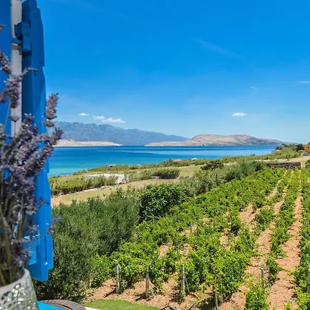 Dom wakacyjny House Silvijo