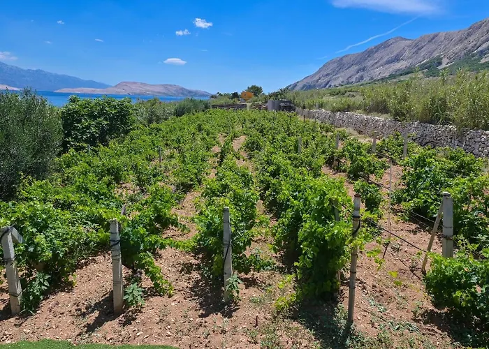 Дом отдыха House Silvijo