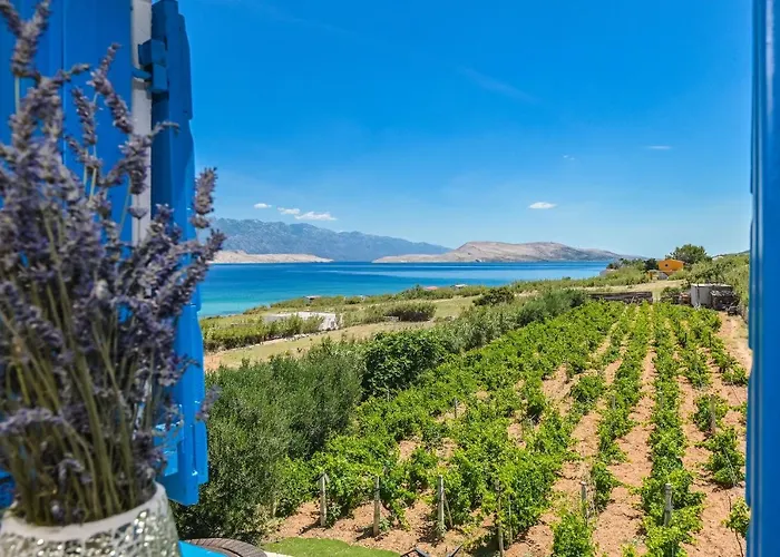 Дом отдыха House Silvijo