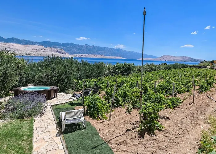 House Silvijo Дом отдыха