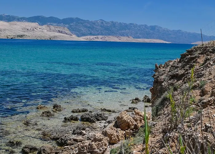 House Silvijo Дом отдыха