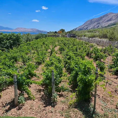 度假居 House Silvijo