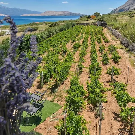 House Silvijo 度假居 科兰